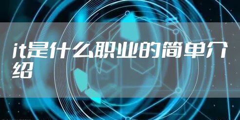 it是什么职业的简单介绍