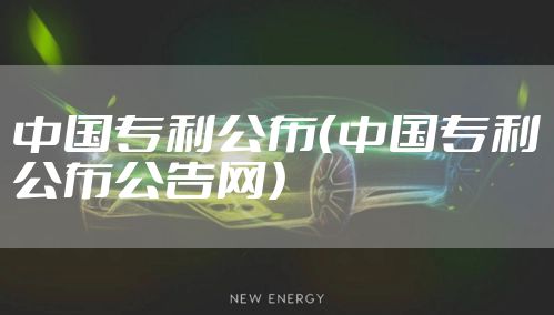 中国专利公布（中国专利公布公告网）