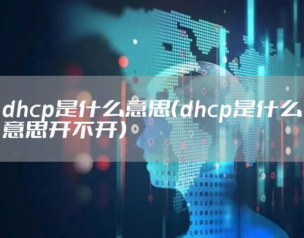 dhcp是什么意思（dhcp是什么意思开不开）