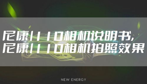 尼康l110相机说明书,尼康l110相机拍照效果