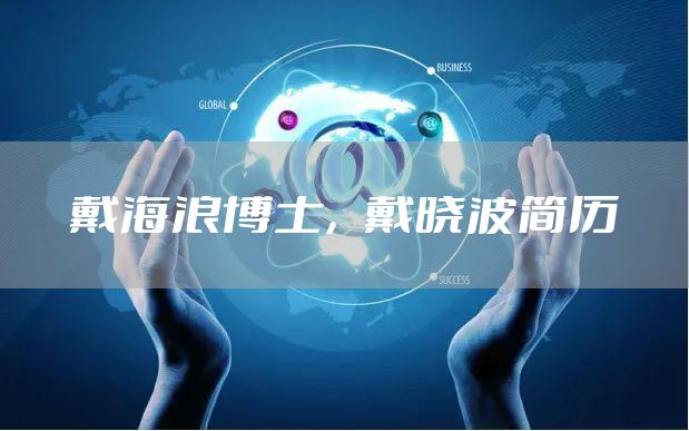 戴海浪博士，戴晓波简历