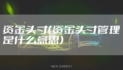 资金头寸（资金头寸管理是什么意思）
