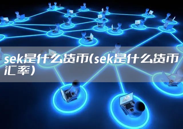 sek是什么货币（sek是什么货币汇率）