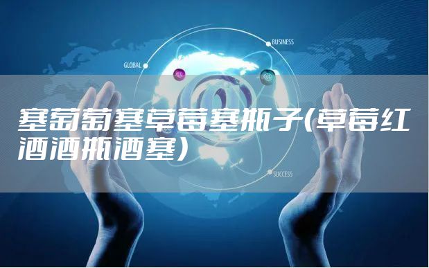 塞葡萄塞草莓塞瓶子（草莓红酒酒瓶酒塞）