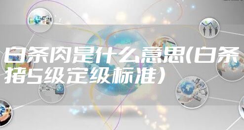 白条肉是什么意思（白条猪5级定级标准）