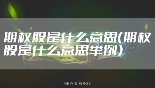 期权股是什么意思（期权股是什么意思举例）