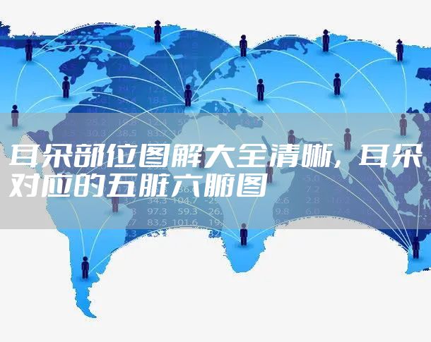 耳朵部位图解大全清晰,耳朵对应的五脏六腑图