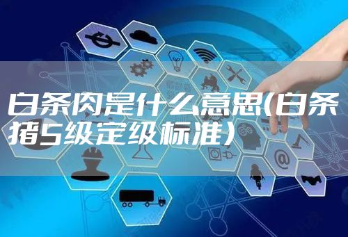 白条肉是什么意思（白条猪5级定级标准）