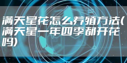 满天星花怎么养殖方法(满天星一年四季都开花吗)