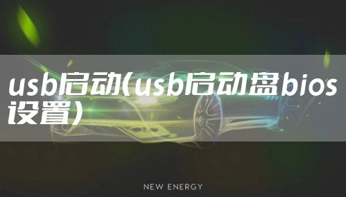 usb启动（usb启动盘bios设置）