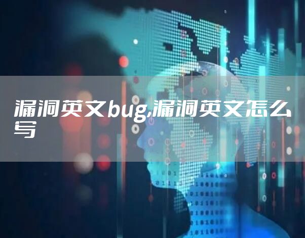 漏洞英文bug,漏洞英文怎么写
