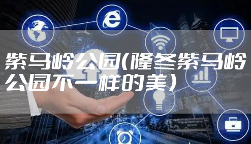 紫马岭公园（隆冬紫马岭公园不一样的美）