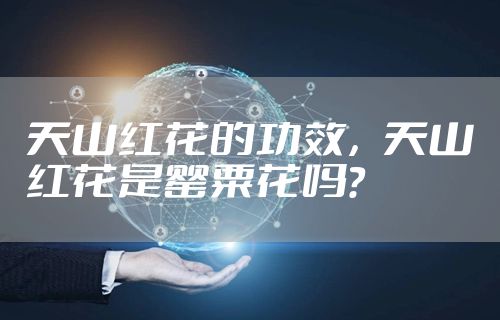 天山红花的功效，天山红花是罂粟花吗?