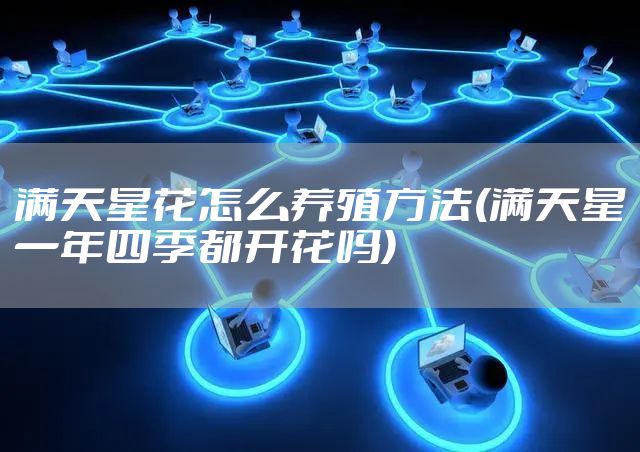 满天星花怎么养殖方法(满天星一年四季都开花吗)