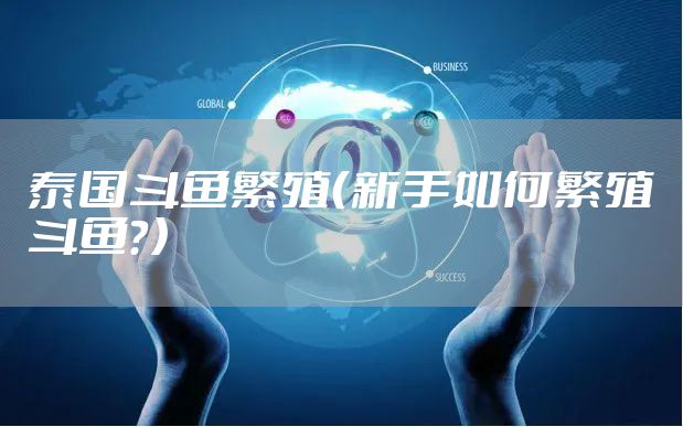 泰国斗鱼繁殖（新手如何繁殖斗鱼？）