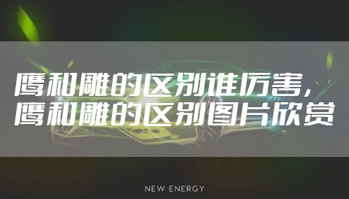 鹰和雕的区别谁厉害，鹰和雕的区别图片欣赏