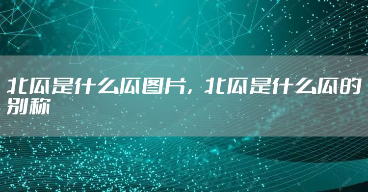 北瓜是什么瓜图片,北瓜是什么瓜的别称