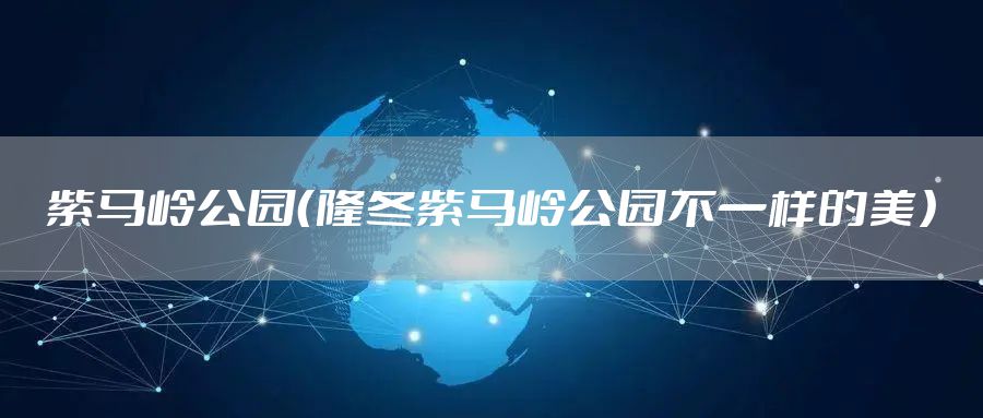 紫马岭公园(隆冬紫马岭公园不一样的美)