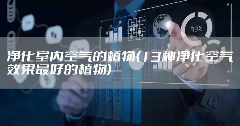 净化室内空气的植物(13种净化空气效果最好的植物)