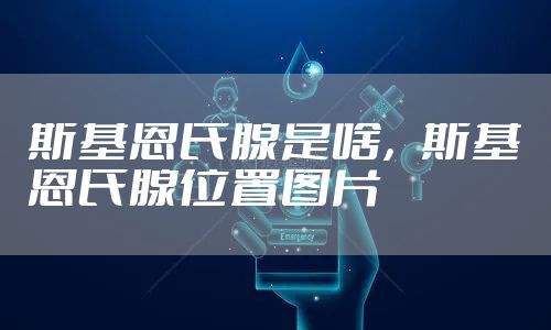 斯基恩氏腺是啥,斯基恩氏腺位置图片