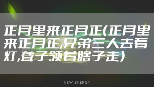 正月里来正月正（正月里来正月正,兄弟三人去看灯,聋子领着瞎子走）