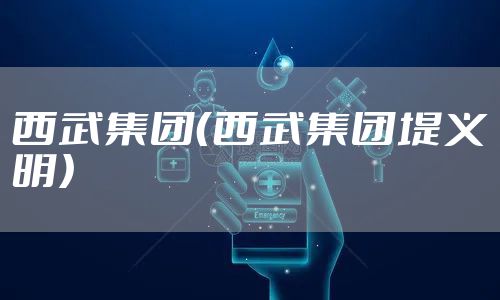 西武集团(西武集团堤义明)