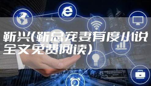 靳兴(靳总宠妻有度小说全文免费阅读)