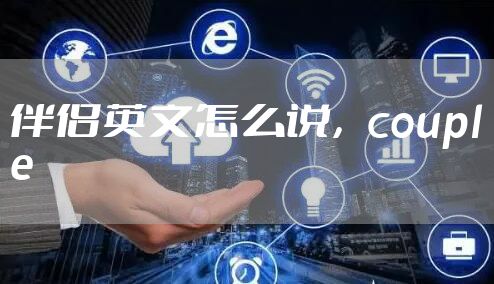伴侣英文怎么说，couple