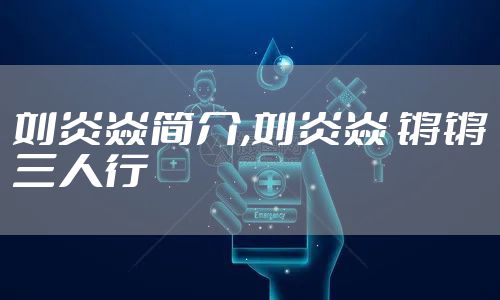 刘炎焱简介,刘炎焱 锵锵三人行