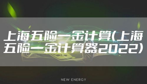 上海五险一金计算（上海五险一金计算器2022）