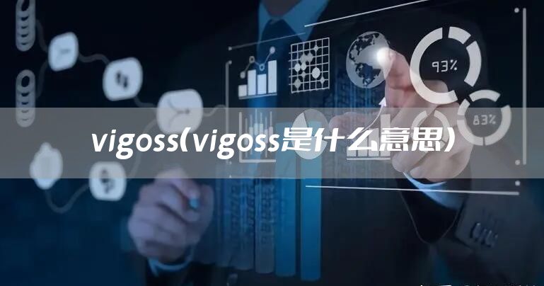 vigoss（vigoss是什么意思）