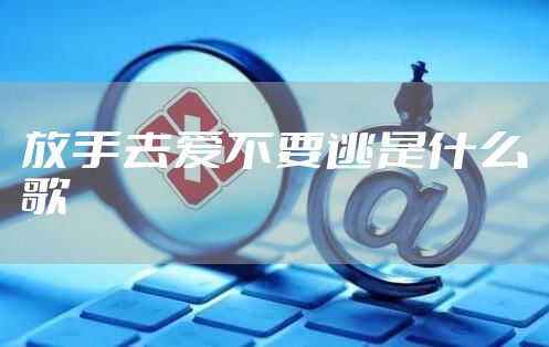 放手去爱不要逃是什么歌