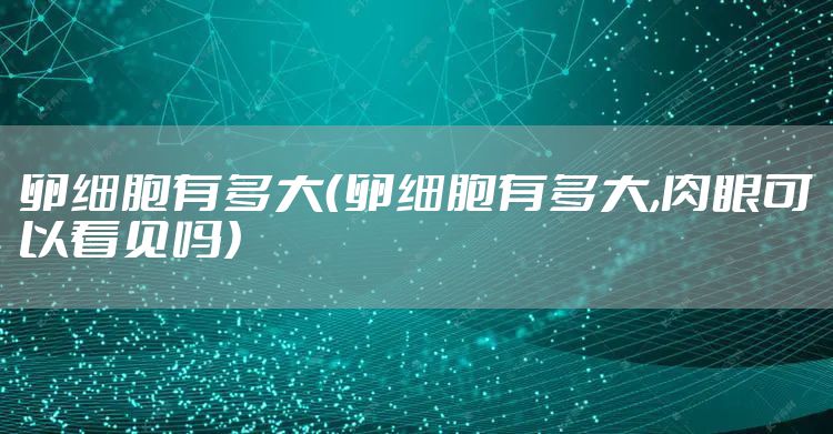 卵细胞有多大（卵细胞有多大,肉眼可以看见吗）