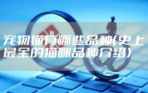 宠物猫有哪些品种(史上最全的猫咪品种介绍)