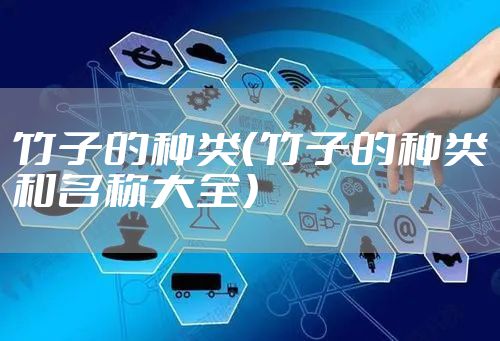 竹子的种类(竹子的种类和名称大全)