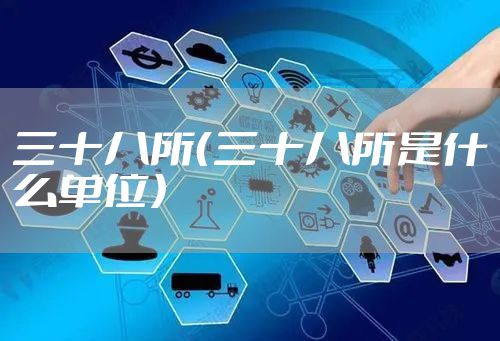 三十八所（三十八所是什么单位）