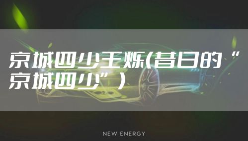 京城四少王烁(昔日的“京城四少”)
