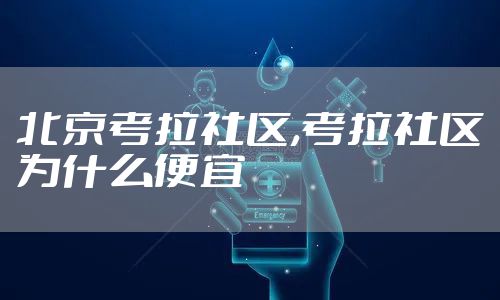 北京考拉社区,考拉社区为什么便宜