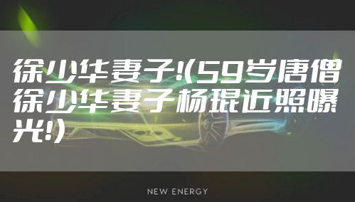 徐少华妻子!(59岁唐僧徐少华妻子杨琨近照曝光!)