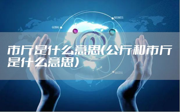 市斤是什么意思（公斤和市斤是什么意思）