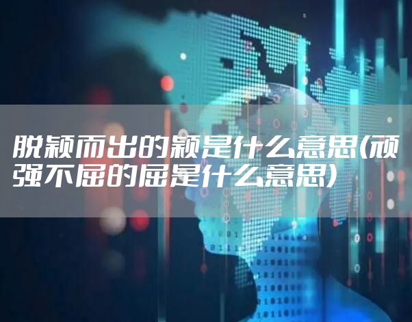 脱颖而出的颖是什么意思(顽强不屈的屈是什么意思)