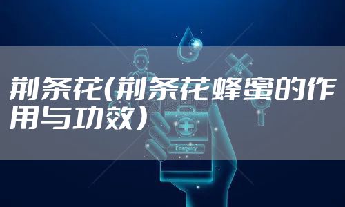 荆条花（荆条花蜂蜜的作用与功效）