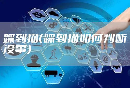 踩到猫（踩到猫如何判断没事）