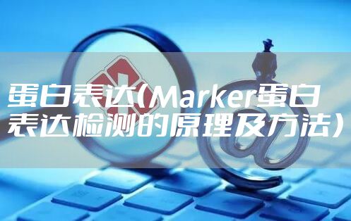 蛋白表达（Marker蛋白表达检测的原理及方法）