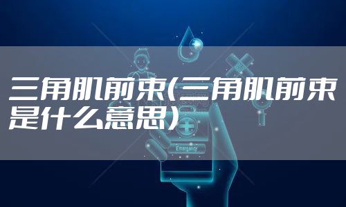 三角肌前束(三角肌前束是什么意思)