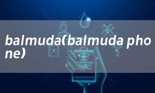 balmuda（balmuda phone）