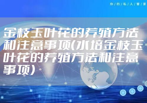 金枝玉叶花的养殖方法和注意事项(水培金枝玉叶花的养殖方法和注意事项)