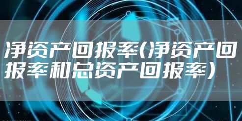 净资产回报率（净资产回报率和总资产回报率）