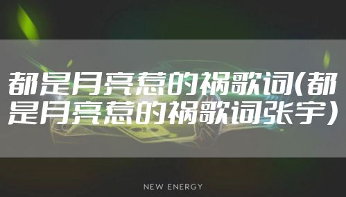 都是月亮惹的祸歌词（都是月亮惹的祸歌词张宇）