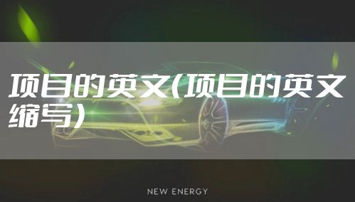 项目的英文（项目的英文缩写）